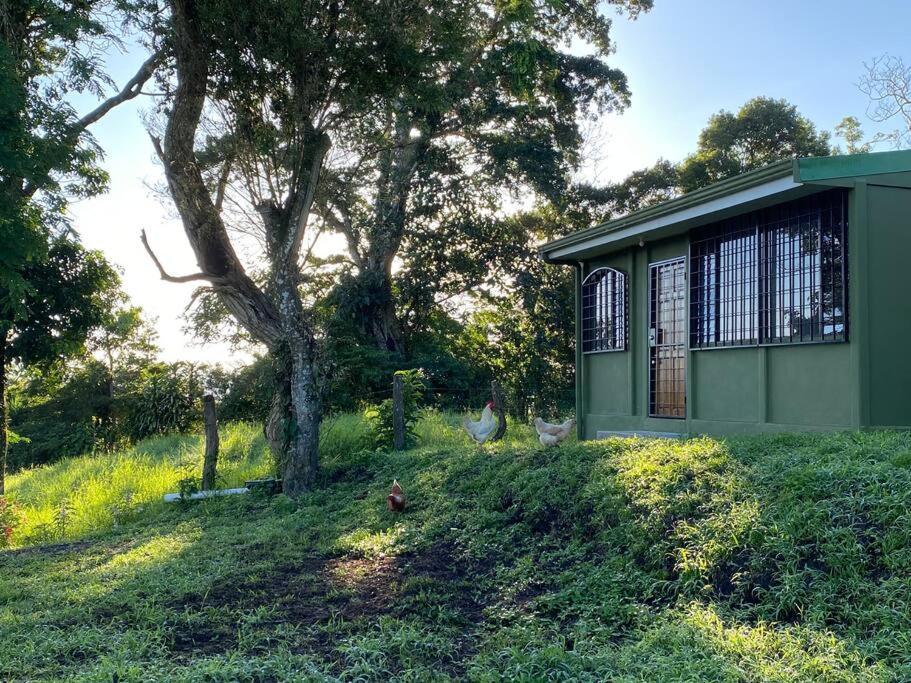 Basecamp Arenal Aparthotel Tronadora Exterior photo